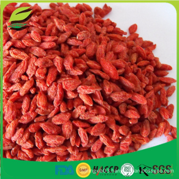 sell lycium barbarum goji berry from China to EU market